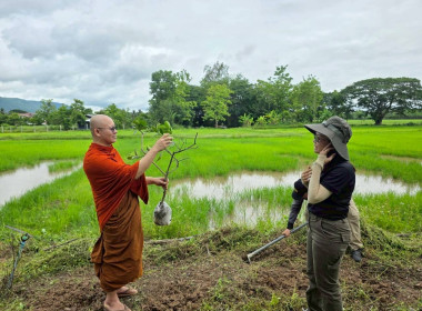 สำนักงานสหกรณ์จังหวัดเชียงราย จัดกิจกรรมปลูกพืชสมุนไพร ... พารามิเตอร์รูปภาพ 24